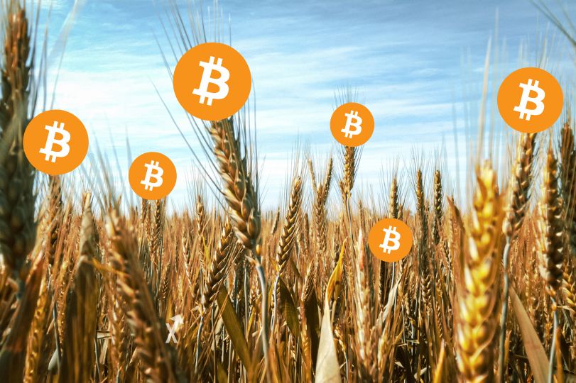 yield farming