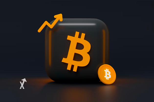Bitcoin wholecoiner