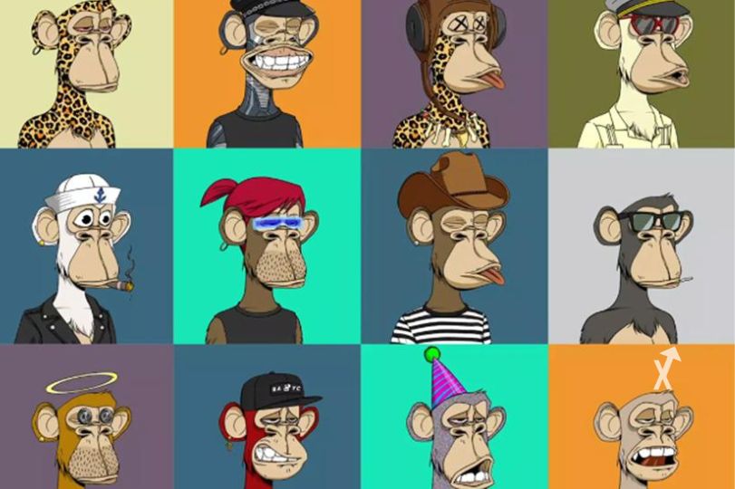 bored ape