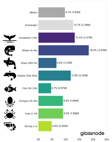 Distribution du Bitcoin en janvier 2021 les baleines crypto en tête