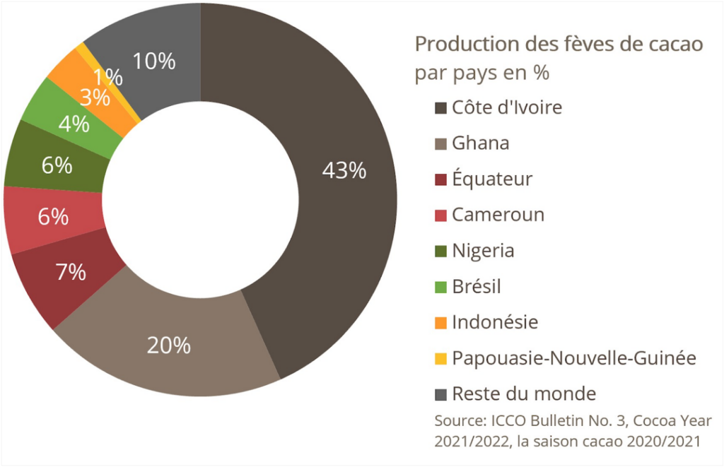 plantation cacao