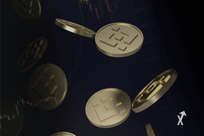 bnb binance cz