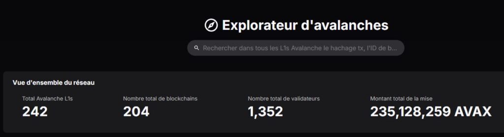 ensemble reseau blockchain avax