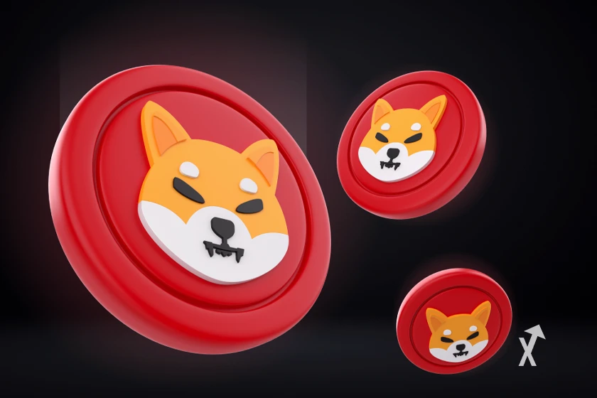 shiba inu