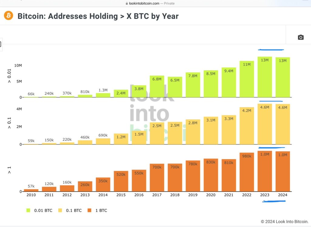 Bitcoin holder