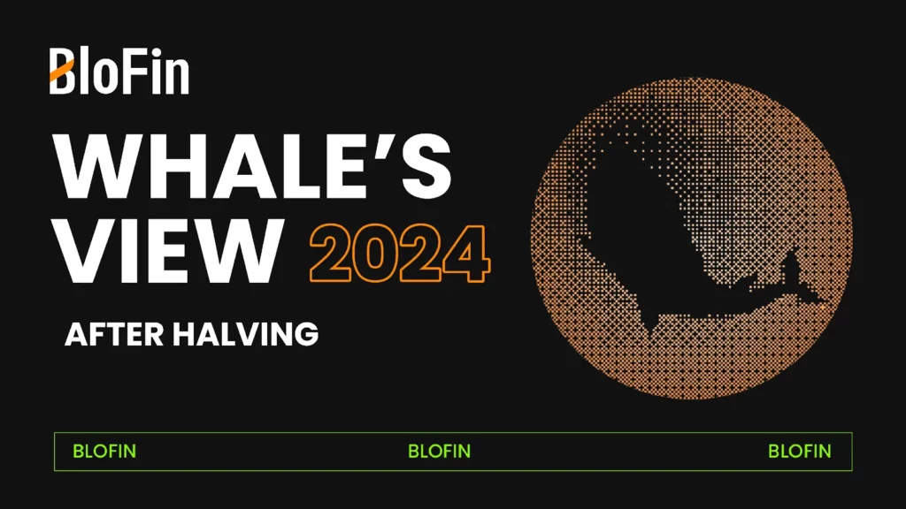 blofin academy baleine crypto