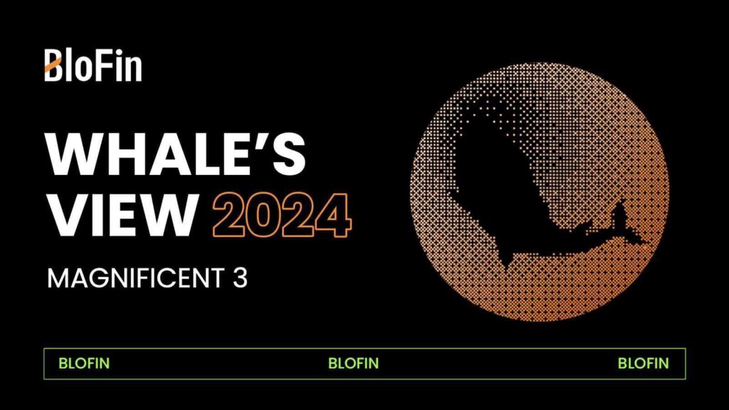 point de vue des baleines crypto de BloFin magnificent 3