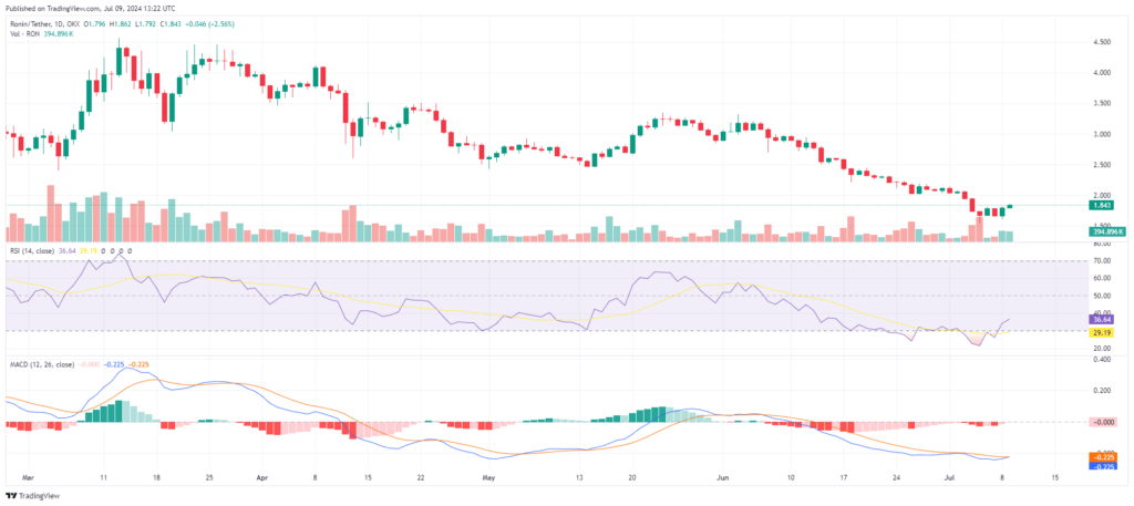 Analyse prix crypto Ronin faible capitalisation