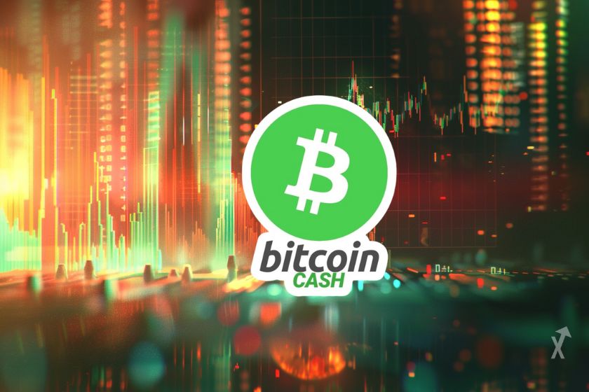 Prix Bitcoin Cash (BCH) en direction des 500 $