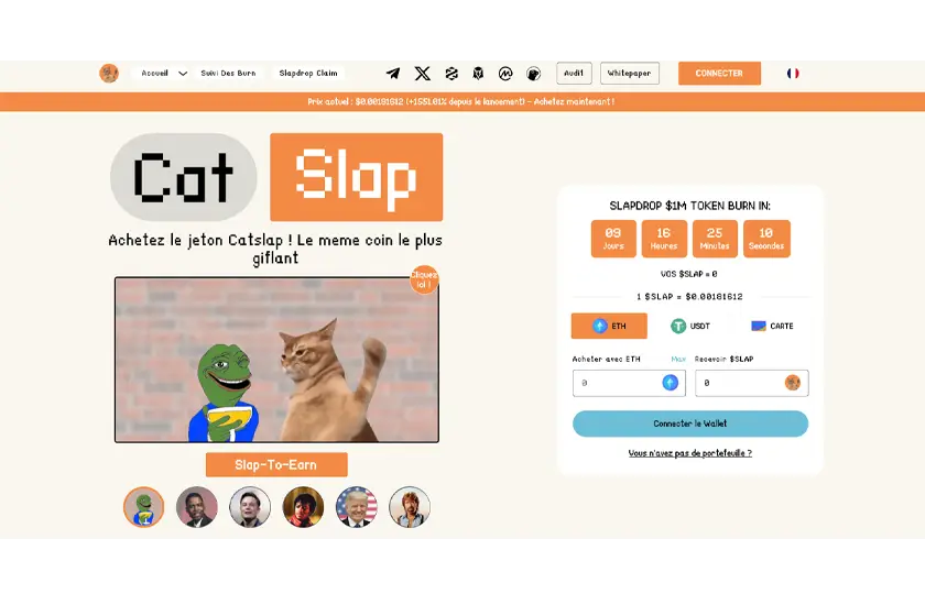 cat slap