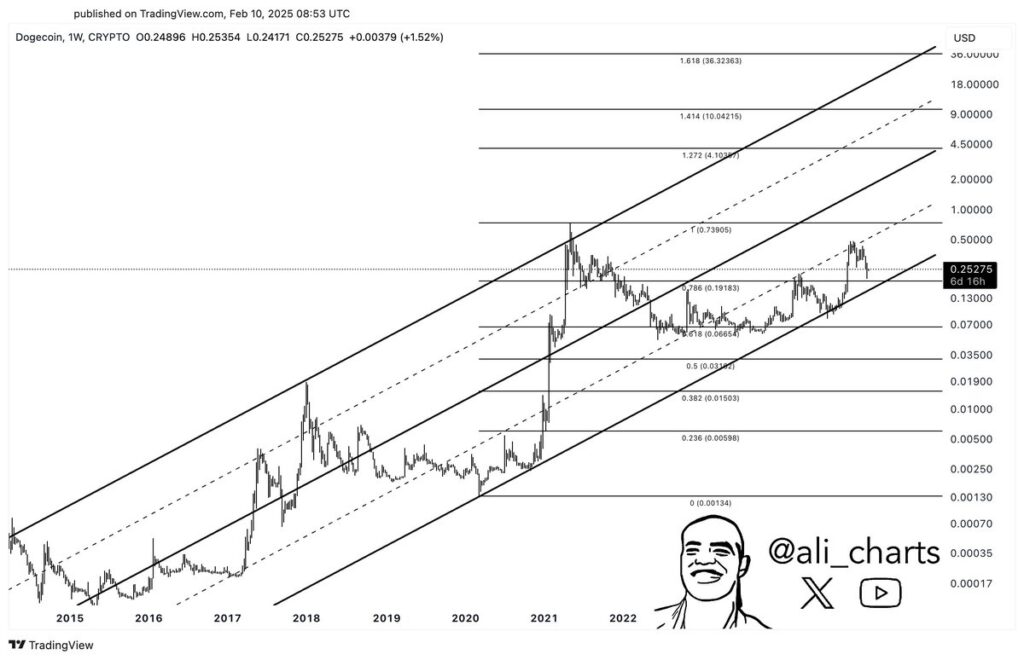 Graphique montrant la dynamique de DOGE