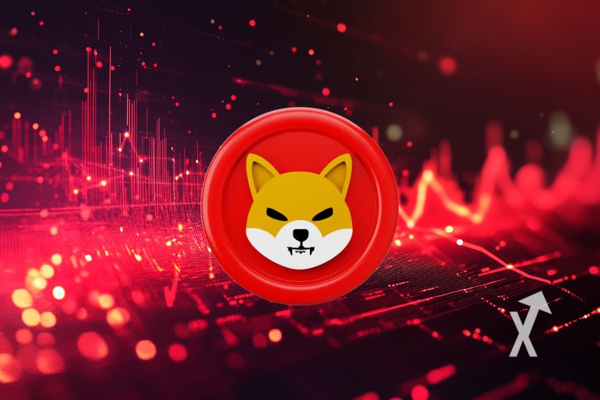 cover shiba inu shib