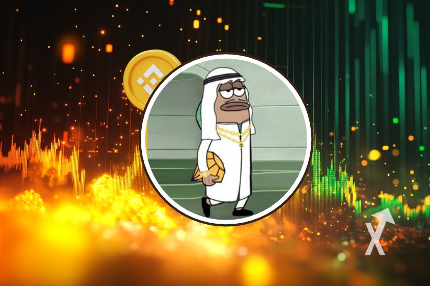 cover memecoin mubarak cz