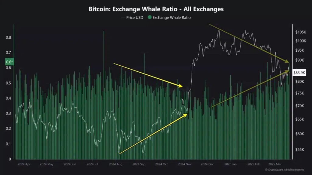 Graphique whale exchange ratio Bitcoin