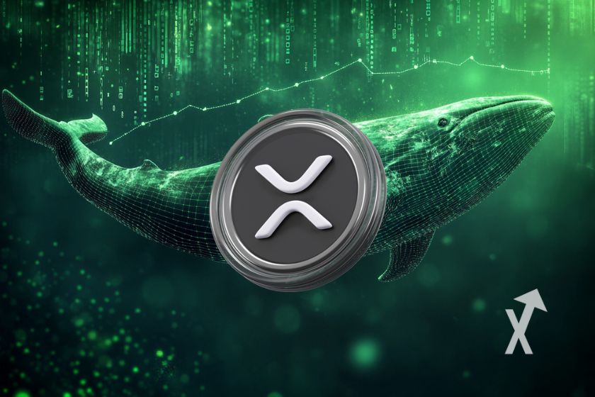 cover ripple xrp baleine