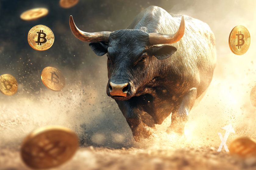 cover bitcoin bull run