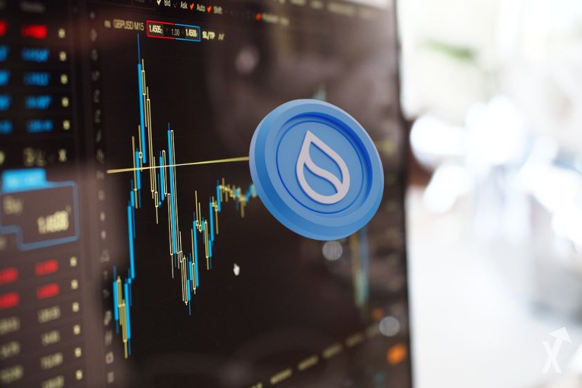 Graphique avec la crypto SUI