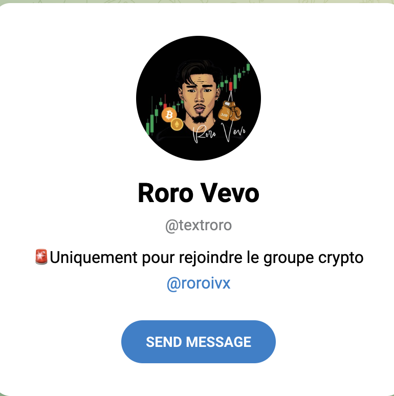 bot telegram InvestX