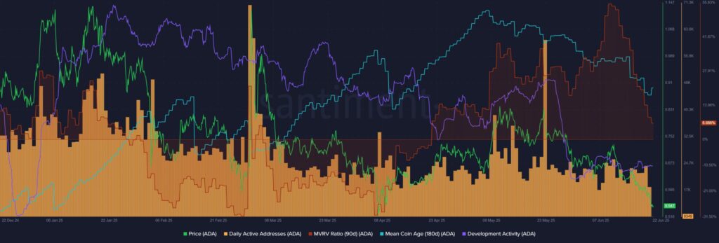 gráfico actividad / MVRV de ADA Cardano