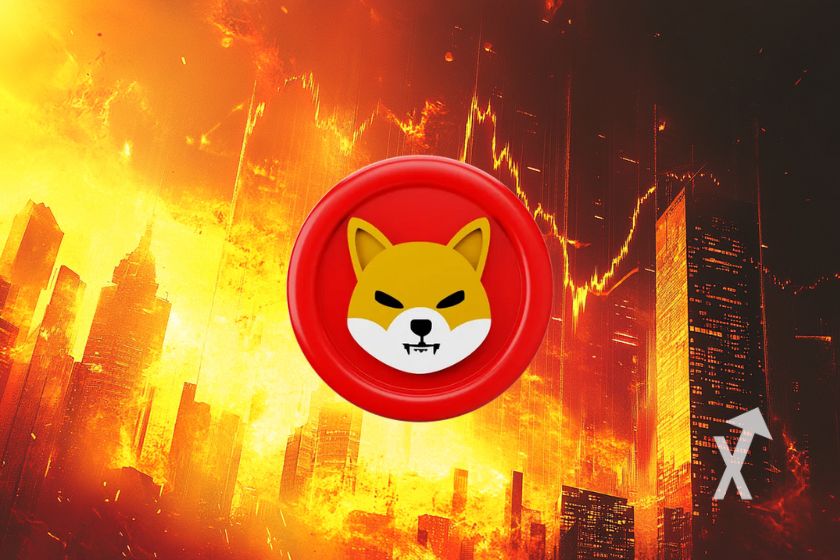 cover shiba inu shib