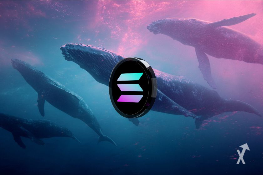Des baleines et le token Solana