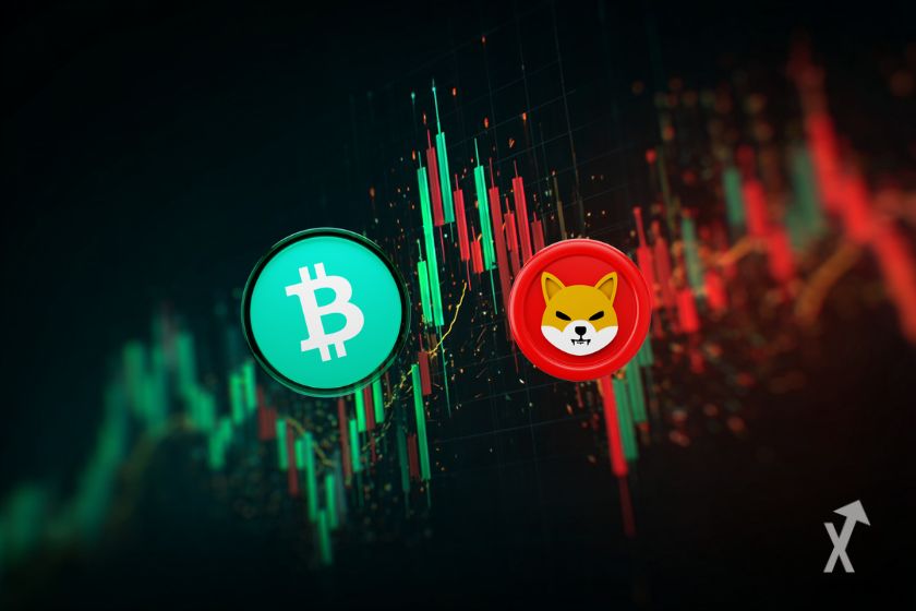 Bitcoin Cash vs Shiba Inu