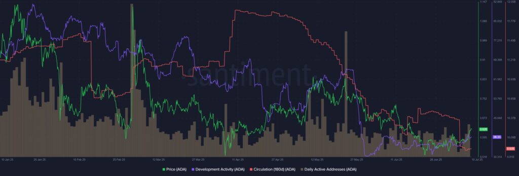 graphique de l'activité sur cardano