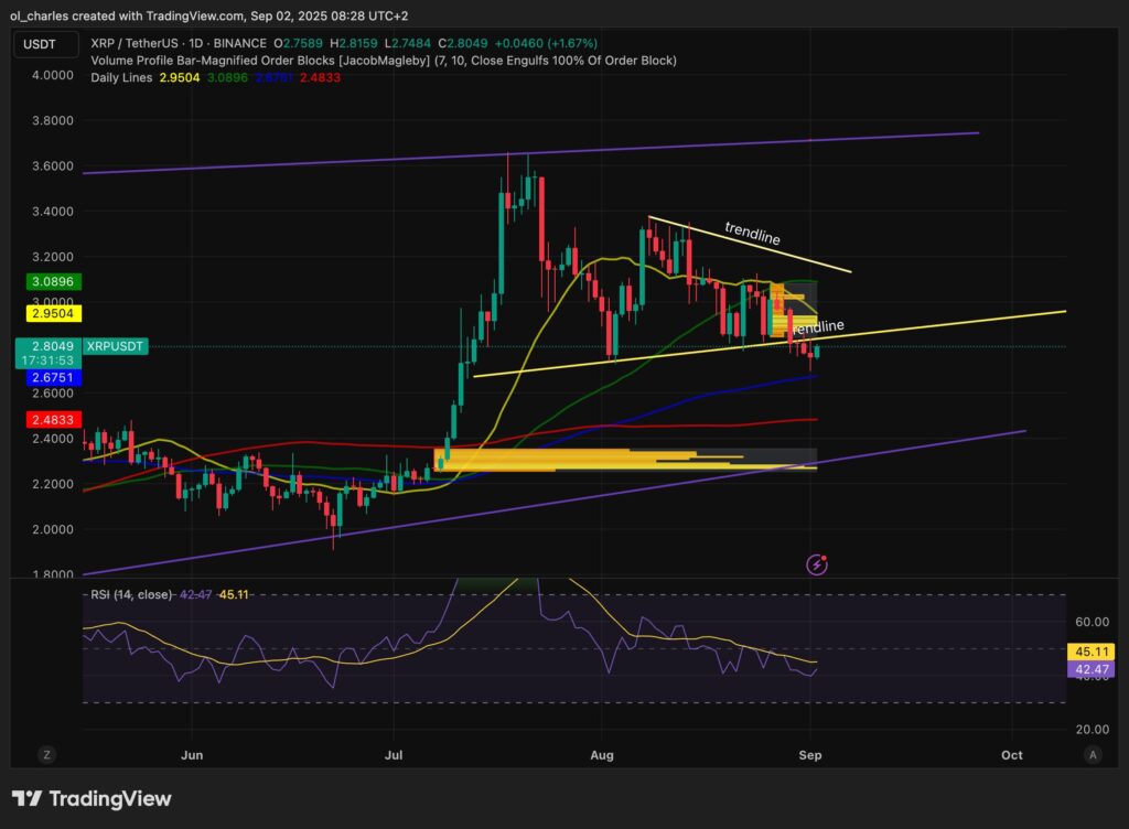 curso de XRP en 1 día