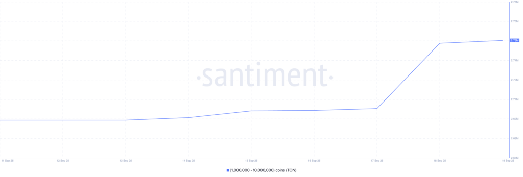 graphique holdings des whales pour le TON
