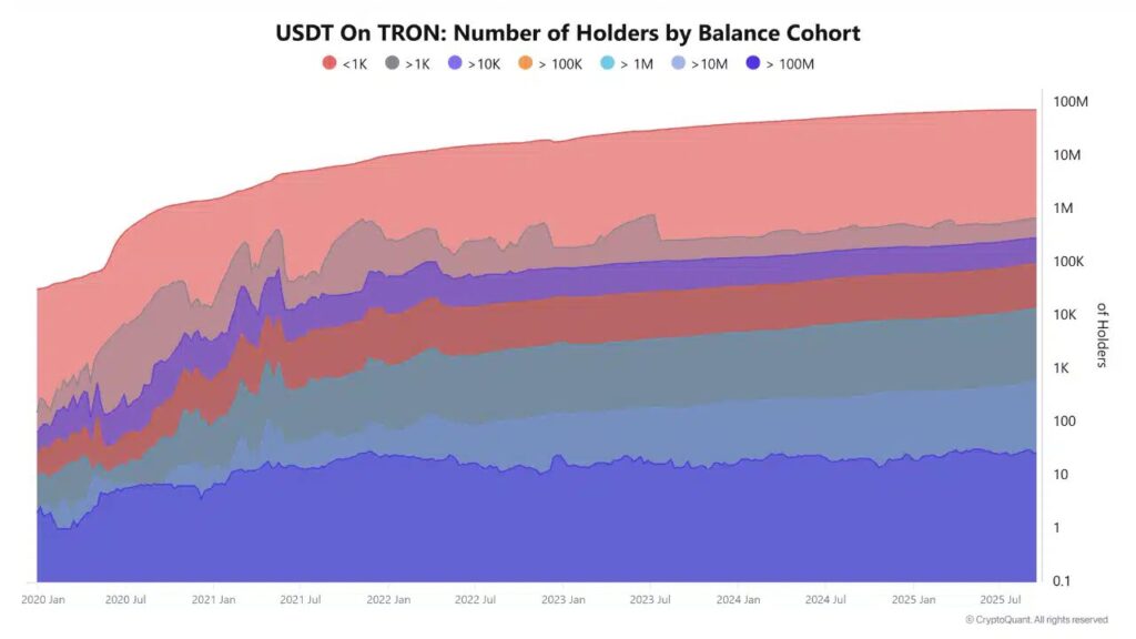 graphique USDT holdings sur Tron
