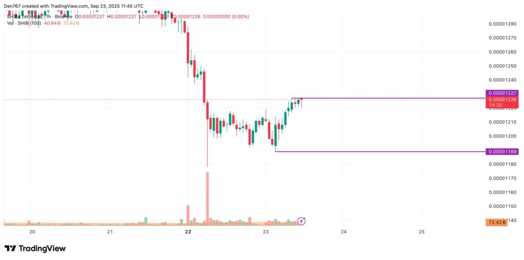 Un graphique de SHIBa Inu