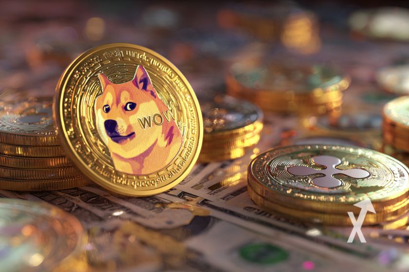 cover etf doge xrp