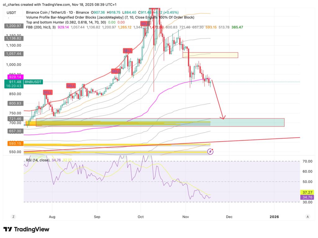 cours du BNB en 1 jour avec FBB, RSI et Order Blocks