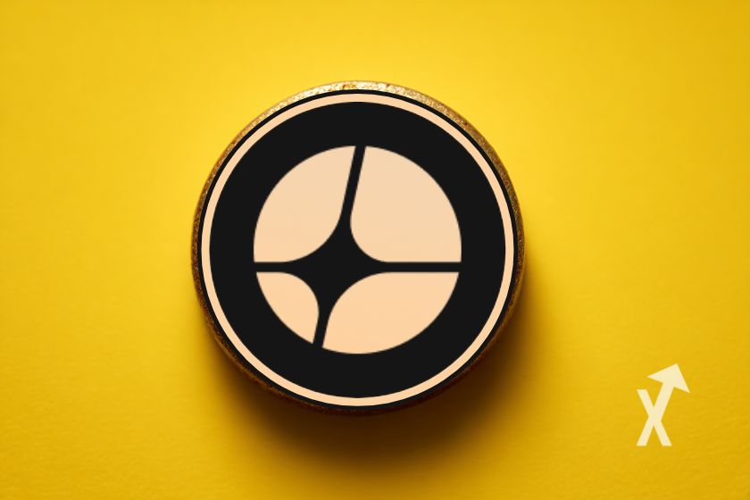 coin aster sur un fond jaune