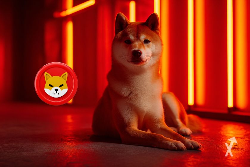 Le token rouge SHIB à côté d'un vrai chien Shiba Inu sur un fond rouge